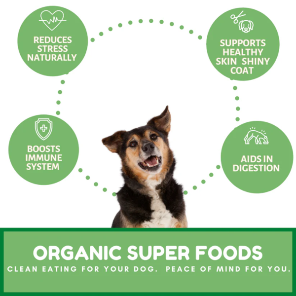 organic-dog-treats