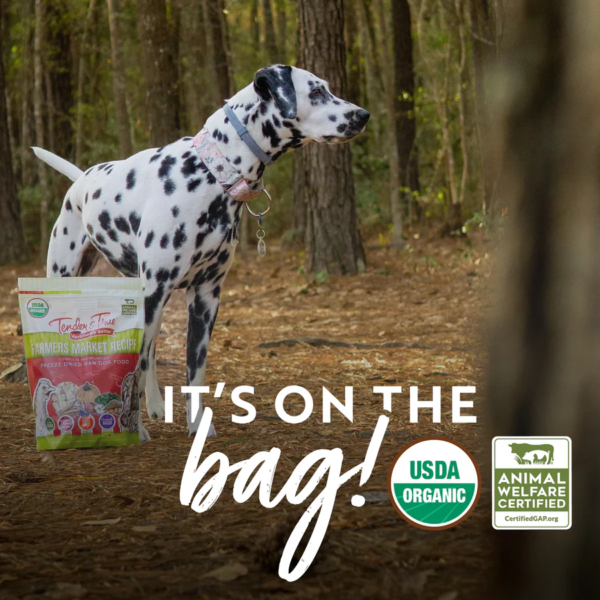 organic freeze dried dog food5