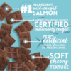 salmon jerky treats2