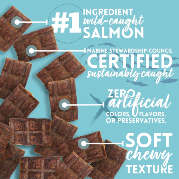 salmon jerky treats2