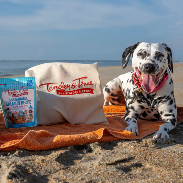 salmon jerky treats4