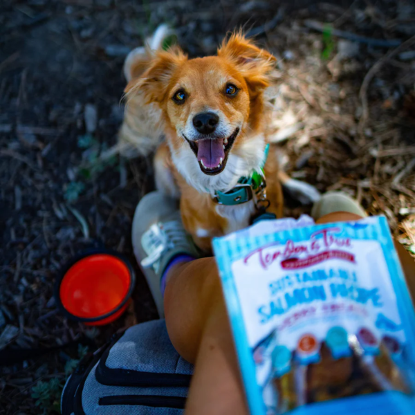 salmon jerky treats5
