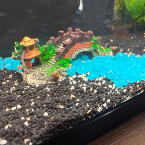 ShipWreck-Decor-Fish-Tank