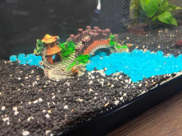 ShipWreck-Decor-Fish-Tank