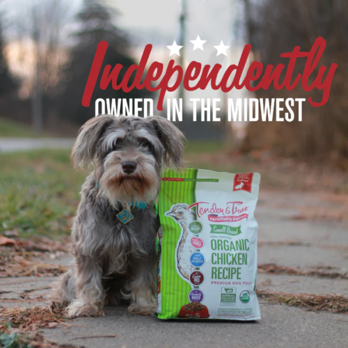 small dog organic food 1