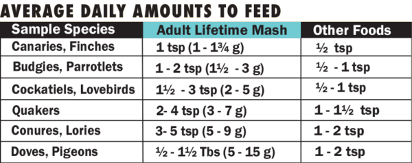 Organic Adult Mash Bird Food - 1LB