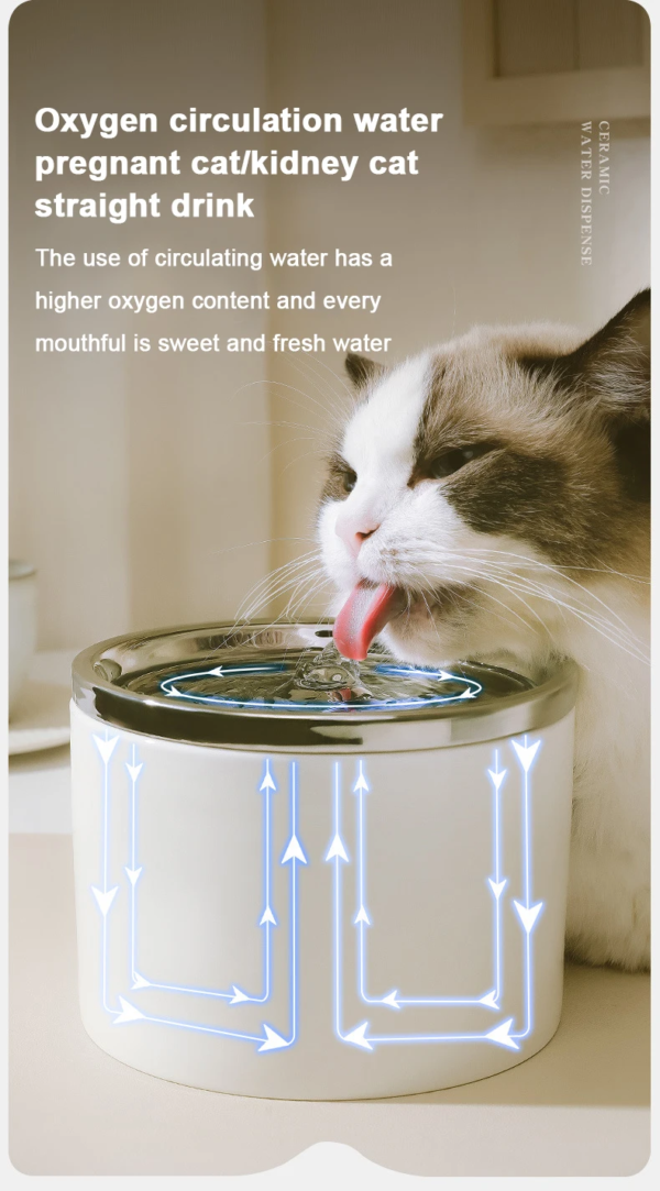 Cat Water Fountain