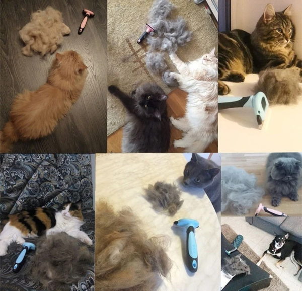 Pet Deshedding Brush