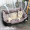 Durable Colored Dog Beds