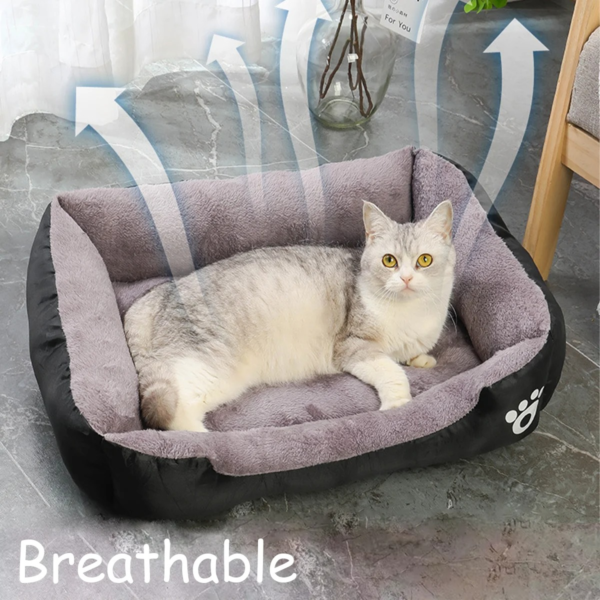 Durable Colored Dog Beds