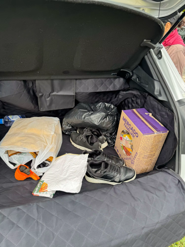 Universal Protective Trunk Cover For Dogs & Pets - Waterproof