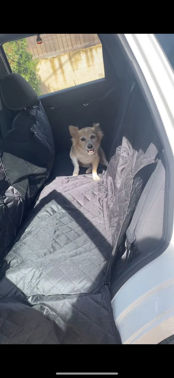 Protective Seat Covers For Dogs - Waterproof Hammock